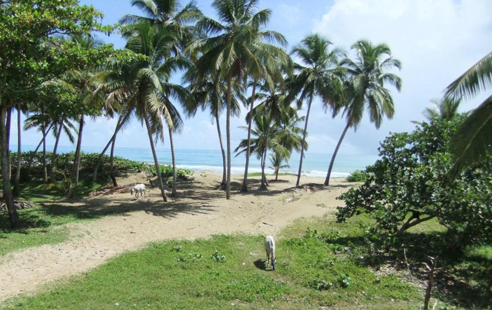 Brisas Doradas Cabarete Exteriér fotografie
